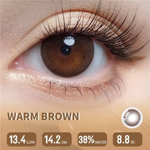Lapeche Warm Brown Daily 6 pcs