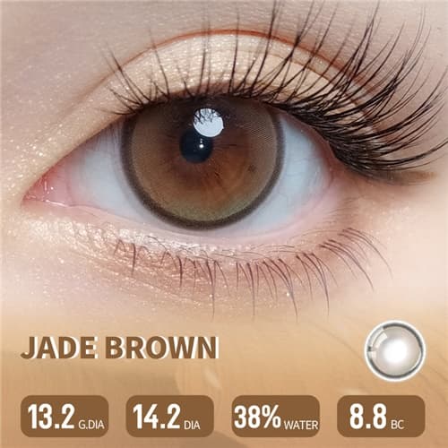 Lapeche Jade Brown Daily 6 pcs