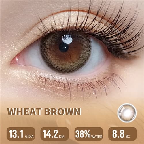 Lapeche Wheat Brown Daily 6 pcs