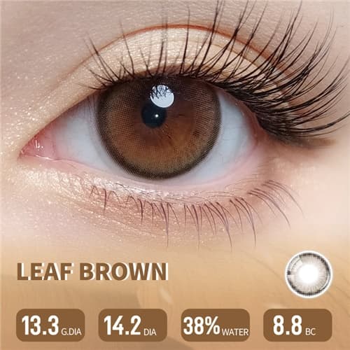 Lapeche Leaf Brown Daily 6 pcs