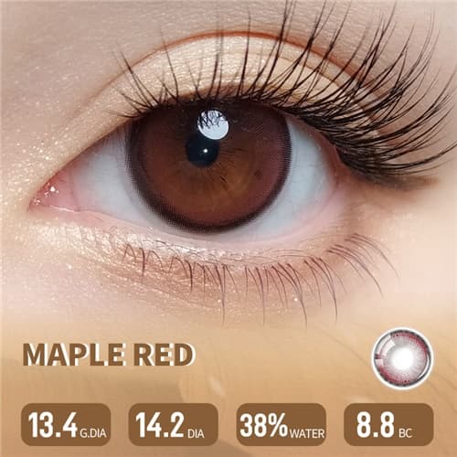 Lapeche Maple Red Daily 6 pcs