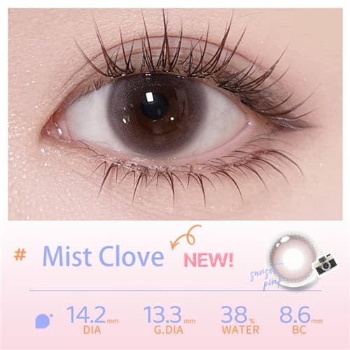 EYEPONY Mist Clove  Half Yearly 2 pcs