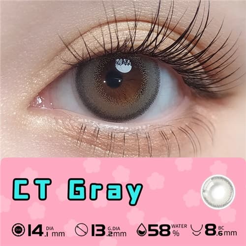 Lapeche CT Gray Daily 10 pcs