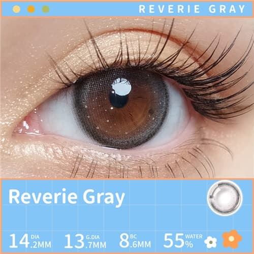 Lapeche Reverie Gray Daily 10 pcs