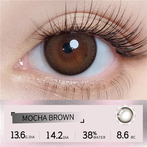 Lapeche  Mocha Brown Monthly 2 pcs