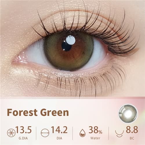 Lapeche Forest Green Daily 10 pcs