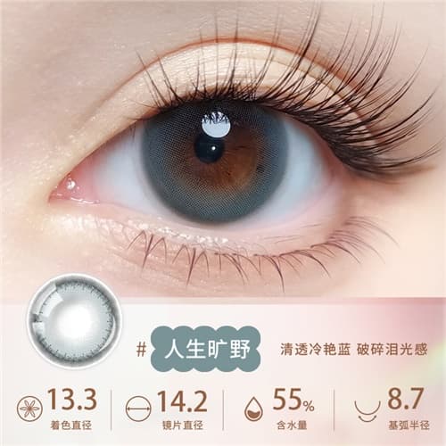 【试戴】拉拜诗伞语55%试戴片水凝胶彩色隐形眼镜日抛2片装-人生旷野