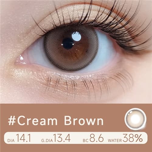 lalish Cream Brown Half Yearly 2 pcs