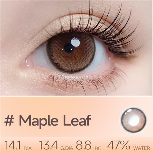 EverColor Silicone Hydrogel  Maple Leaf Daily 10 pcs
