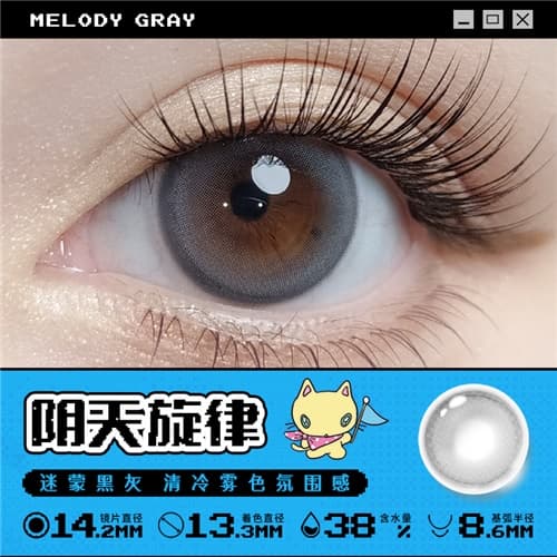 【试戴】拉拜诗大艺术家水凝胶彩色隐形眼镜日抛2片装-阴天旋律