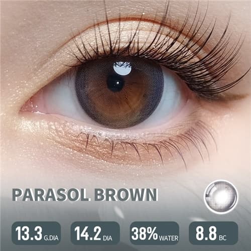 Lapeche Parasol Brown Daily 6 pcs