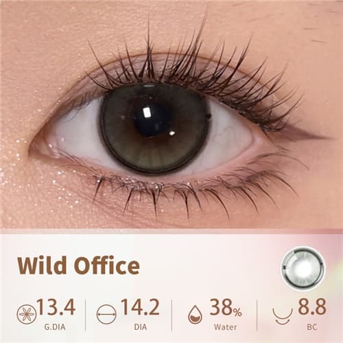 【Trial】Lapeche Umtale series Daily Disposable 2 pcs-Wild Office