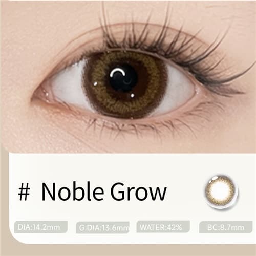 lalish Noble Grow Daily 10 pcs