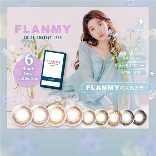 【 FLANMY半年抛】T-Garden狗狗眼2片装半年抛彩色隐形眼镜