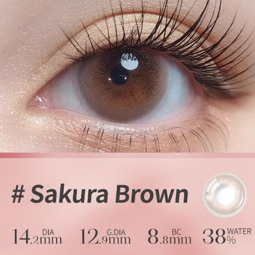 Lapeche Sakura Brown Monthly 2 pcs