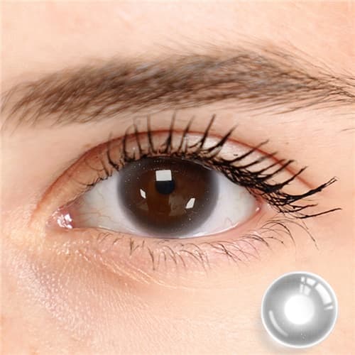 Domina Cinnamon Gray Half Yearly 2 pcs