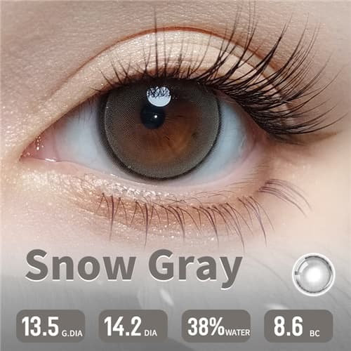 Lapeche Snow Gray Daily 6 pcs